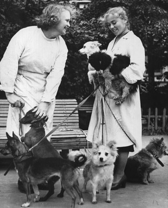 dognauts