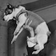 strelka
